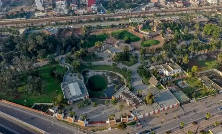 إعادة افتتاح حديقة حيوان عين السبع يوم 30 ديسمبر 2025 بعد سنوات من الإغلاق