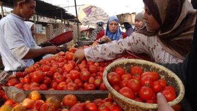تجار الخضر والفواكه بالدار البيضاء ينتظرون عودة الأسعار لطبيعتها