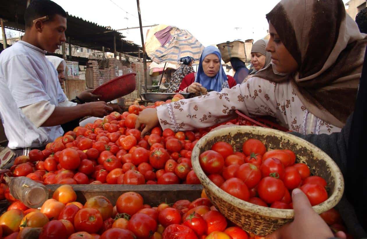Les commerçants de fruits et légumes de Casablanca attendent une normalisation des prix 1 تجار الخضر والفواكه بالدار البيضاء ينتظرون عودة الأسعار لطبيعتها