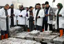 المتوسط المغربي: تراجع مخزون الأسماك بأكثر من 30% منذ 2017