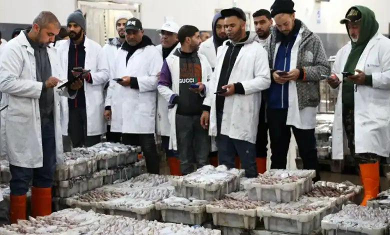 المتوسط المغربي: تراجع مخزون الأسماك بأكثر من 30% منذ 2017