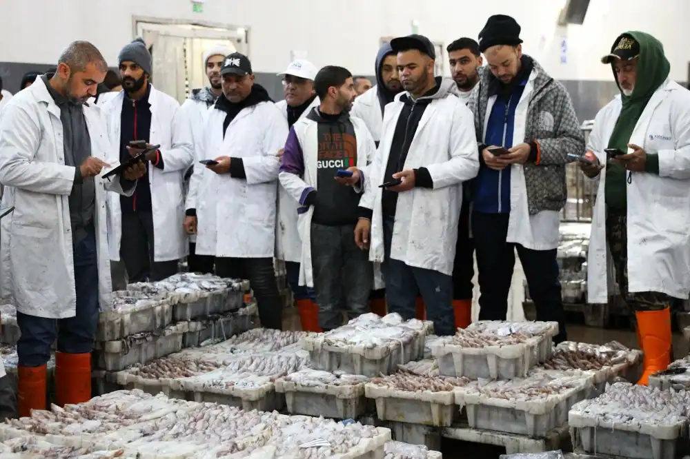La Méditerranée marocaine : Les stocks de poissons ont chuté de plus de 30 % depuis 2017 1 المتوسط المغربي: تراجع مخزون الأسماك بأكثر من 30% منذ 2017