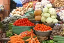 انخفاض أسعار الخضراوات بالجملة في الدار البيضاء