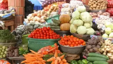 انخفاض أسعار الخضراوات بالجملة في الدار البيضاء 14 انخفاض أسعار الخضراوات بالجملة في الدار البيضاء