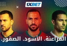 الفراعنة والأسود والصقور - لماذا تسمى المنتخبات الوطنية العربية بهذه الأسماء؟