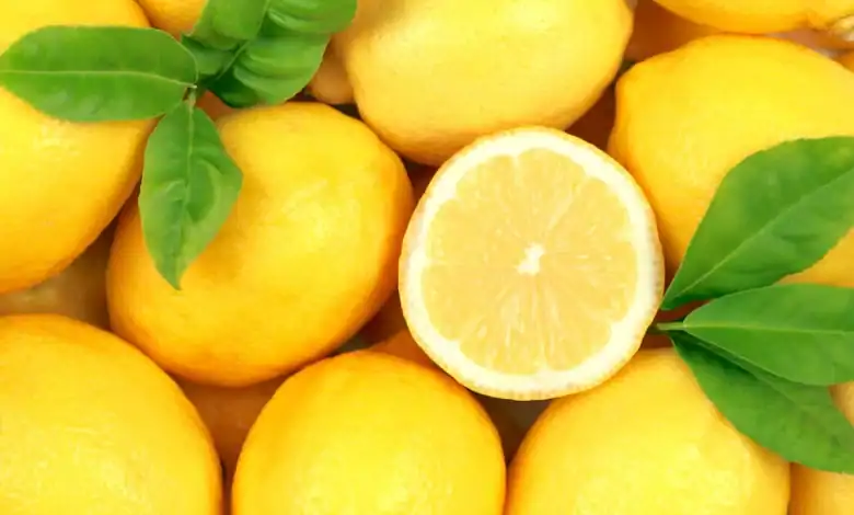 المغرب يحقق أفضل موسم لتصدير الليمون خلال آخر خمسة مواسم