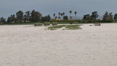 التموين يزعج محاصرين بالفيضانات