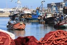 مراكب الصيد الساحلي بميناء العرائش تستأنف الإبحار جزئياً بعد تحسن البحر