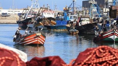 مراكب الصيد الساحلي بميناء العرائش تستأنف الإبحار جزئياً بعد تحسن البحر