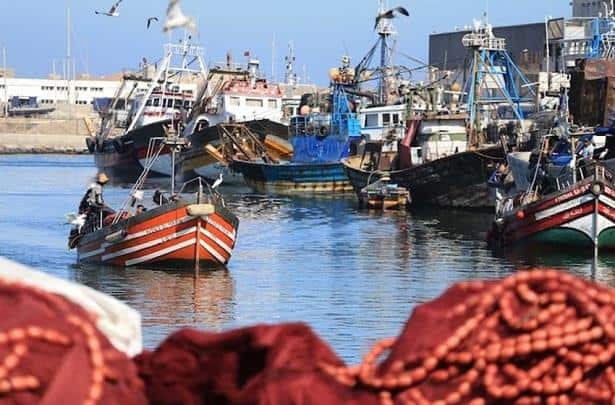مراكب الصيد الساحلي بميناء العرائش تستأنف الإبحار جزئياً بعد تحسن البحر