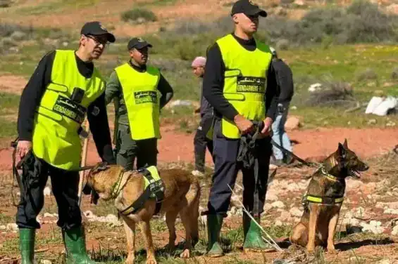أزيلال: مروحية وطائرات مسيرة وكلاب مدربة تواصل البحث عن التلميذة المفقودة