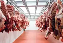 أسعار اللحوم الحمراء بالمغرب: انفراج مؤقت قبل موجة ارتفاع جديدة