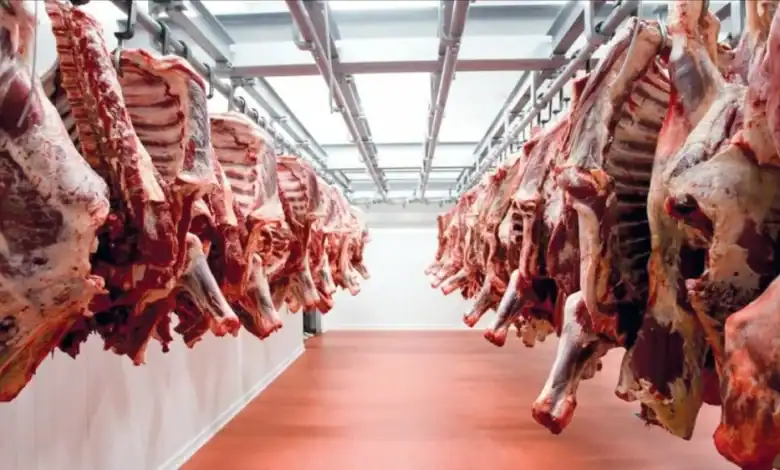 أسعار اللحوم الحمراء بالمغرب: انفراج مؤقت قبل موجة ارتفاع جديدة