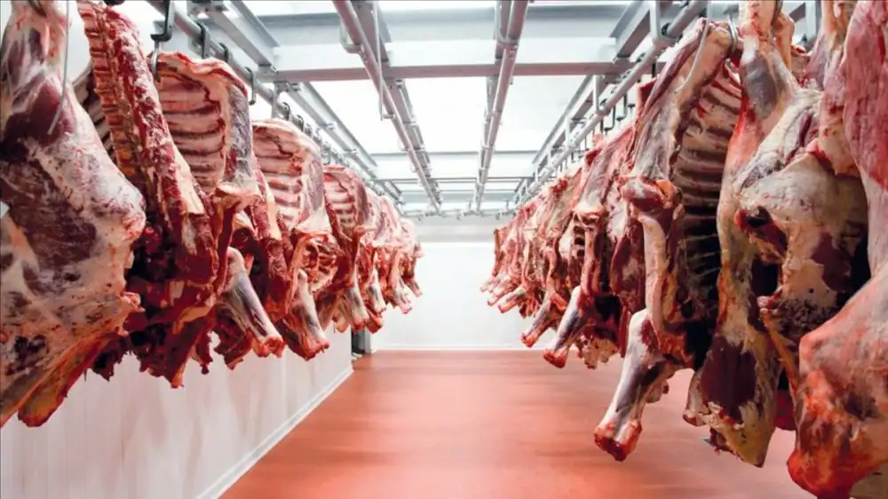 Prix des viandes rouges au Maroc : Un répit temporaire avant une nouvelle vague de hausses 1 أسعار اللحوم الحمراء بالمغرب: انفراج مؤقت قبل موجة ارتفاع جديدة