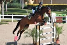 الحرس الملكي ينظم بطولة كبرى للقفز على الحواجز بالرباط