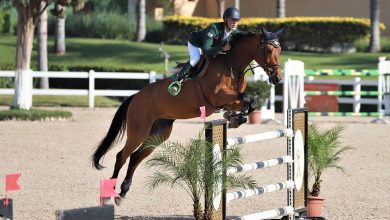 الحرس الملكي ينظم بطولة كبرى للقفز على الحواجز بالرباط