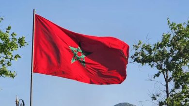 المغرب يتوج بالجائزة الذهبية لبرنامج التنمية الزراعية الإفريقية