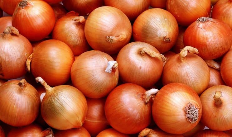 المغرب يواجه نقصا في البصل ويلجأ إلى واردات قياسية من هولندا