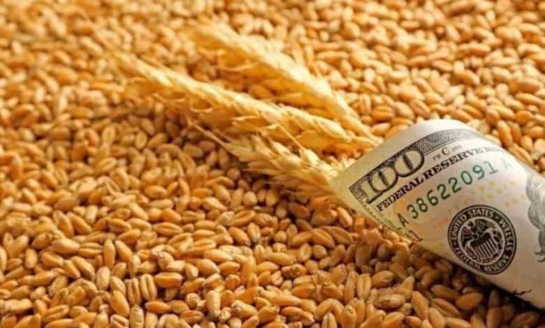 ارتفاع كلفة الشحن يضغط على أسعار القمح في المغرب