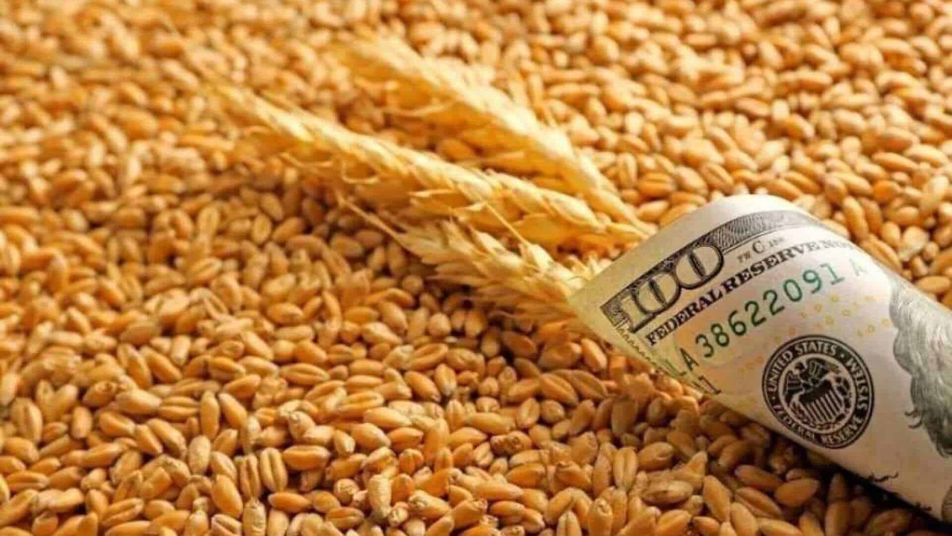 La hausse du coût du fret exerce une pression sur les prix du blé au Maroc 1 ارتفاع كلفة الشحن يضغط على أسعار القمح في المغرب
