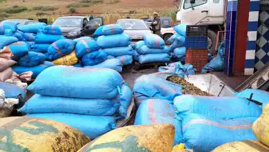 دعم حكومي متواصل للحد من التلوث الصناعي بالمغرب