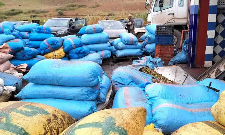 دعم حكومي متواصل للحد من التلوث الصناعي بالمغرب