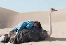 فيلم "طفل الصحراء" ينطلق في القاعات المغربية ويخوض سباق الشباك