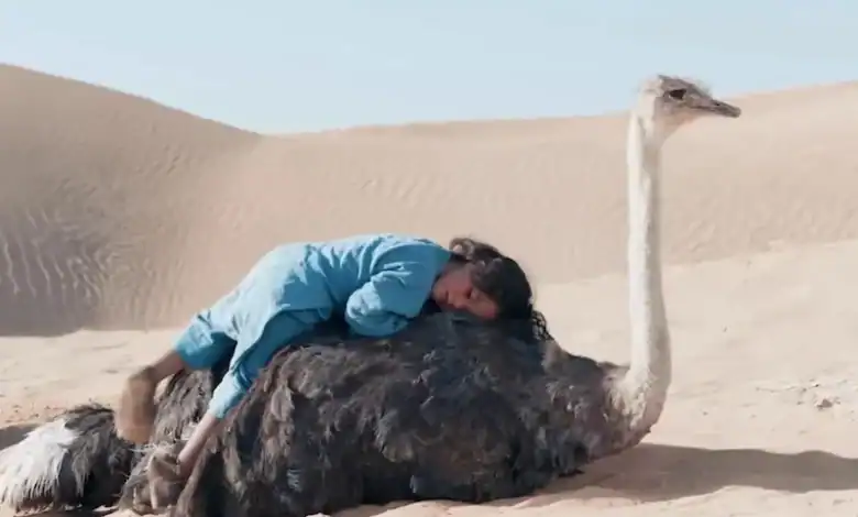 L'enfant du désert" fait son entrée dans les salles de cinéma marocaines et fait un tabac au box-office 1 فيلم "طفل الصحراء" ينطلق في القاعات المغربية ويخوض سباق الشباك