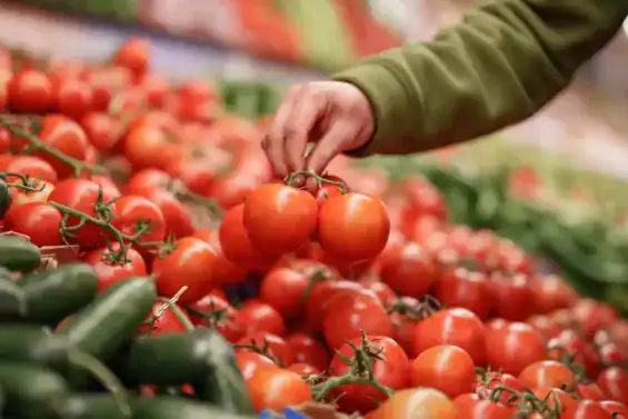 المغرب يوقف تصدير الطماطم إلى إفريقيا ويقلصها نحو أوروبا لاحتواء الأسعار
