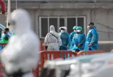 فحوص مخالطي فيروس هانتا في فرنسا وهولندا تأتي سلبية