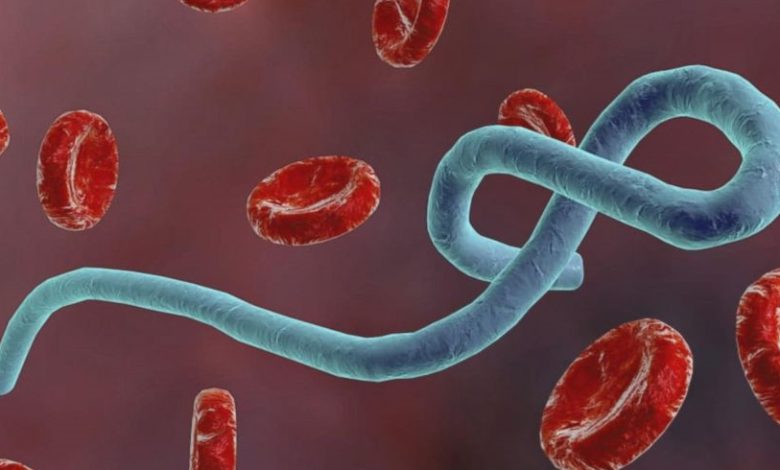 Washington alloue 80 millions de dollars supplémentaires pour lutter contre l'épidémie d'Ebola 1 واشنطن تخصص دعما إضافيا بقيمة 80 مليون دولار لمواجهة تفشي إيبولا