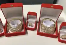 ذهب غير مصرح به يوقع أما وابنتها في تحقيق جمركي بألمانيا
