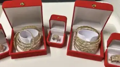ذهب غير مصرح به يوقع أما وابنتها في تحقيق جمركي بألمانيا