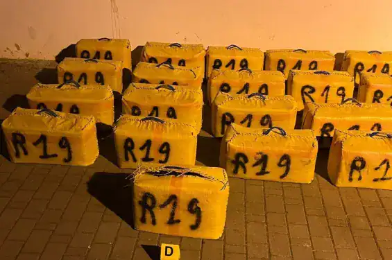 ‏ضربة أمنية قوية بالمغرب: حجز نحو طنين من الشيرا في عمليتين منفصلتين