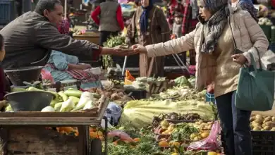 أسعار الخضر في المغرب مهددة بارتفاع جديد مع تراجع الإمدادات
